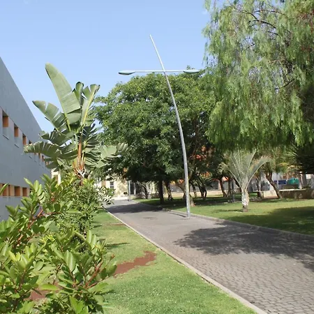 Comfortable Flat In Isabel Διαμέρισμα Arona (Tenerife)